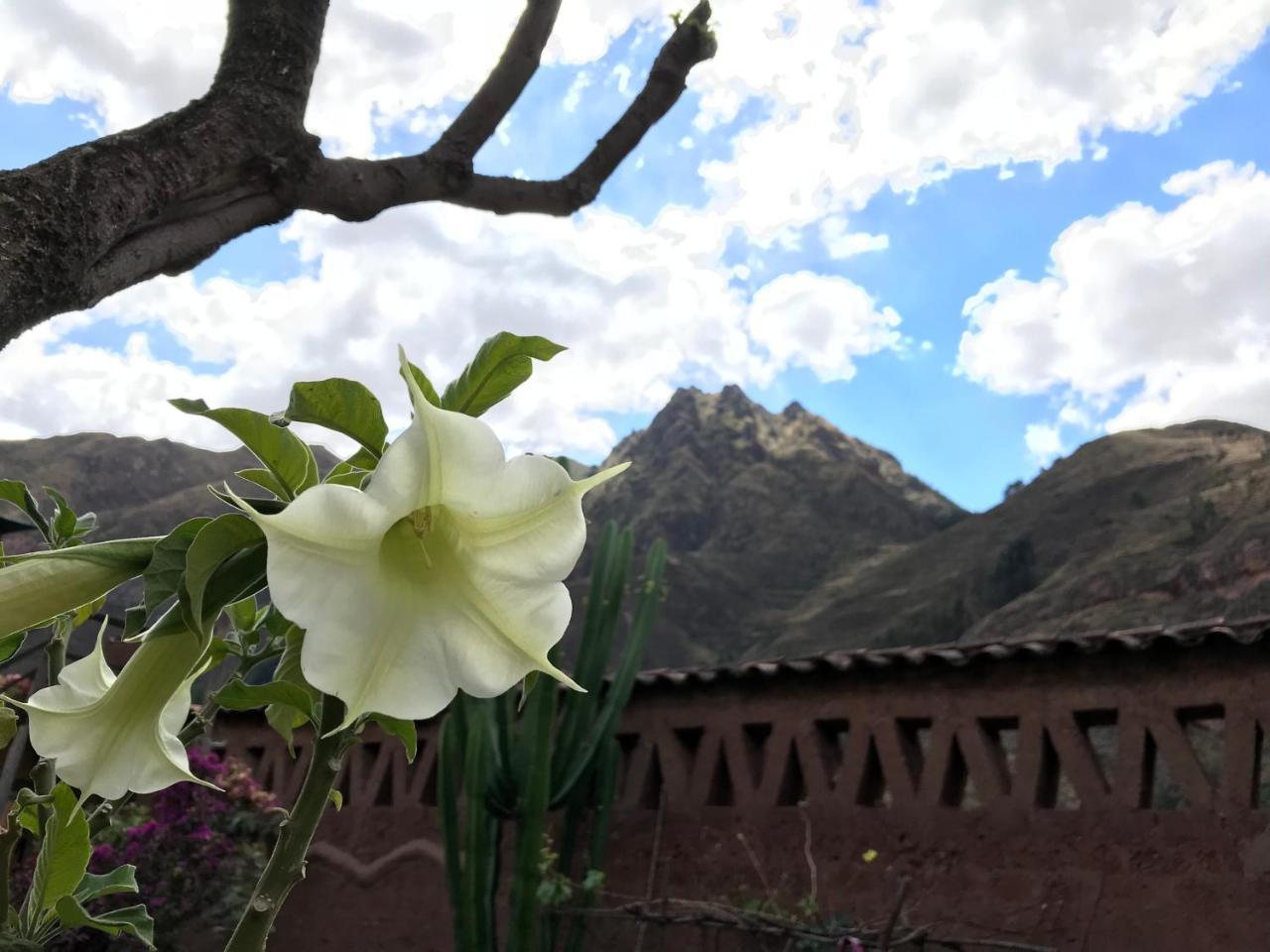 Pisac Inca Guest House Bagian luar foto